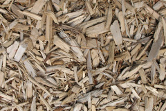 biomass boilers Dinnington